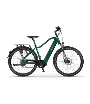 miejski Rower elektryczny Ecobike MX 300 Green (2023)