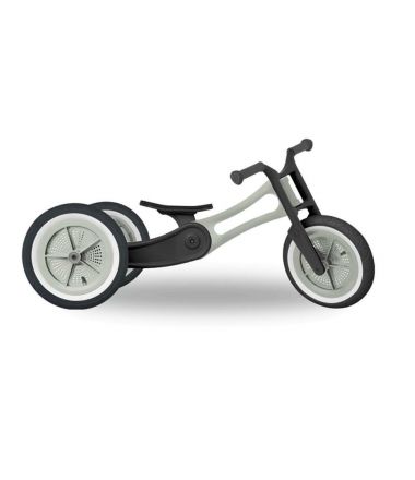rower trójkołowy wishbone raw re2 szary